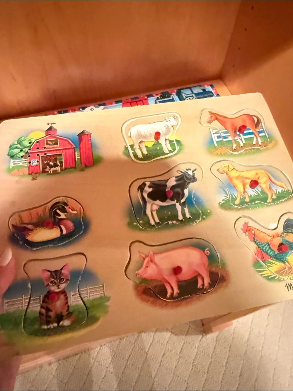 2 Melissa & Doug puzzles